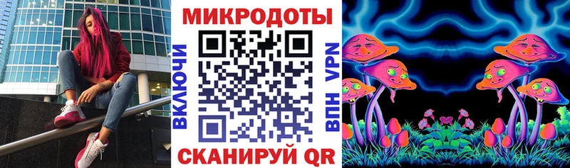 Галлюциногенные грибы GOLDEN TEACHER  mega маркетплейс  Черкесск 